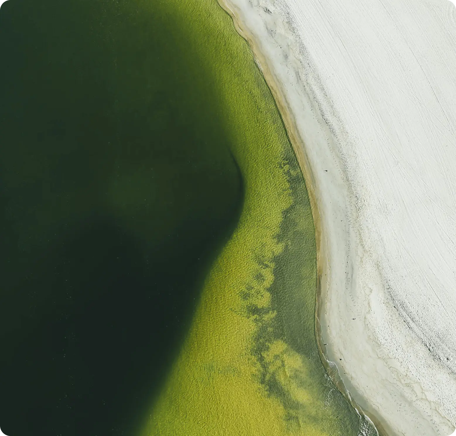 Aerial view of green water meeting a sandy shoreline